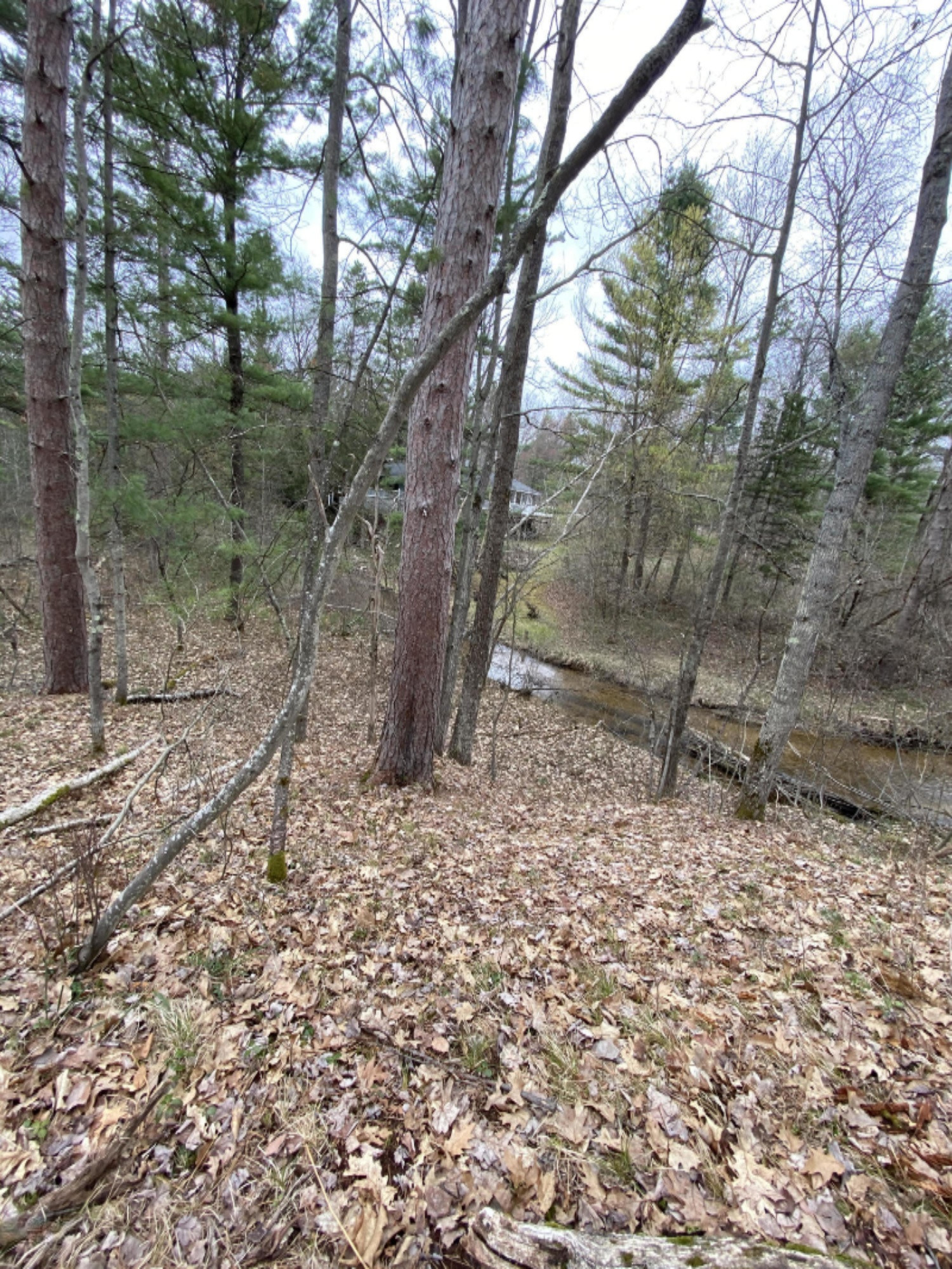 2.16-acres Jacobson Road Manistee, MI 49660 - Photo 6 of 18 IMG_5565