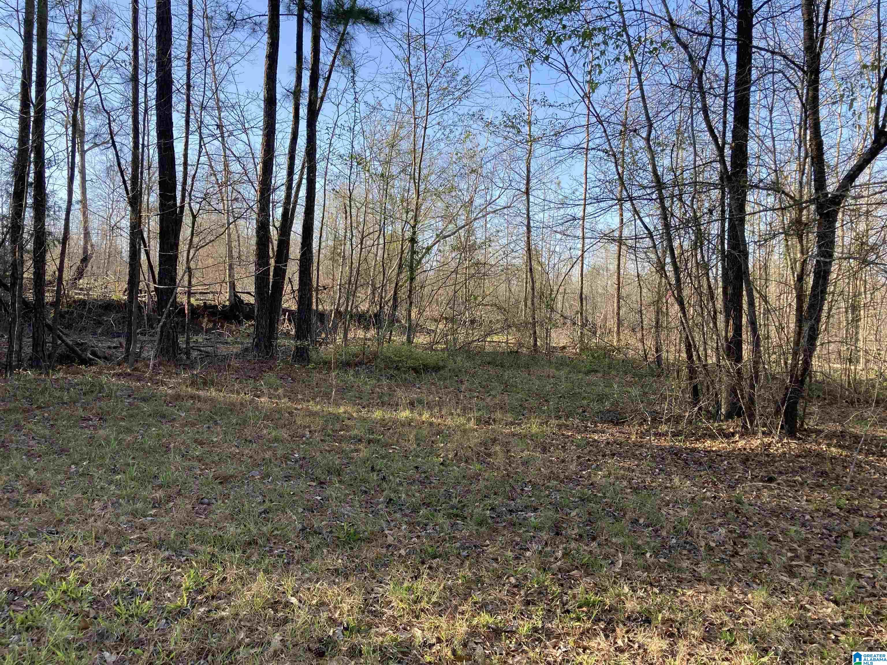 0 Jackson Trace Road, Unit 4 1 Talladega, AL 35160 - Photo 23 of 27