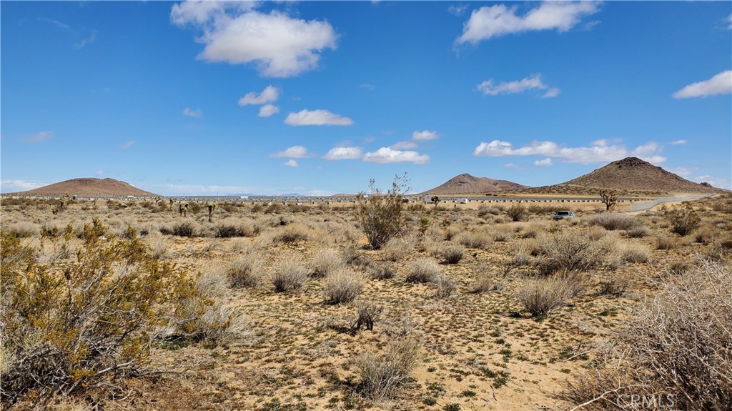 0 Reed Avenue Mojave, CA 93501 - Photo 13 of 18 a view of a large tree