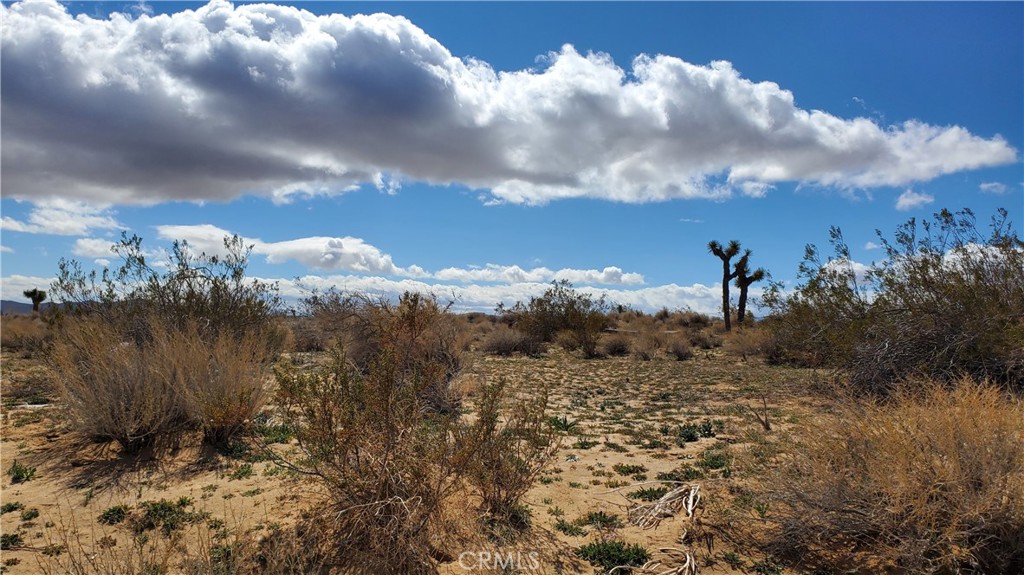 0 Reed Avenue Mojave, CA 93501 - Photo 3 of 18 a view of sunset