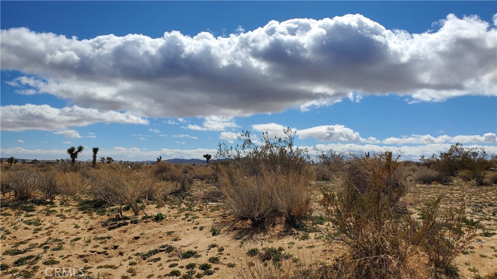 0 Reed Avenue Mojave, CA 93501 - Photo 4 of 18 a view of a city