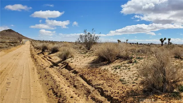 a view of a lake with a mountain