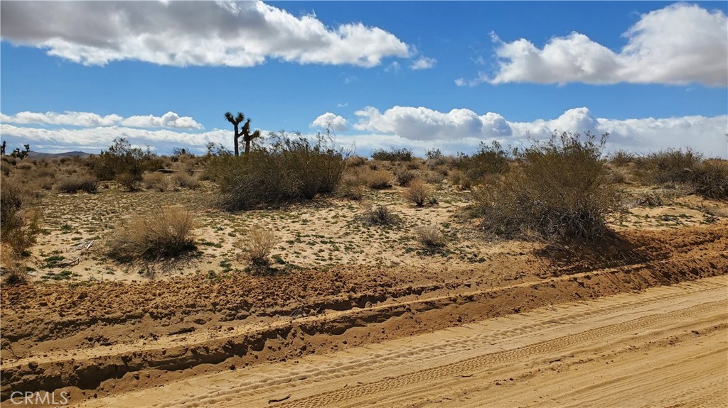 0 Reed Avenue Mojave, CA 93501 - Photo 8 of 18 a view of a sky