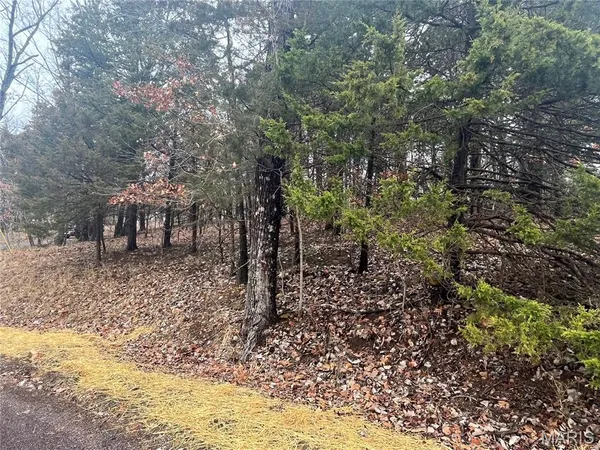 $7,000 | 1398 Heather Drive, Marthasville, MO 63357