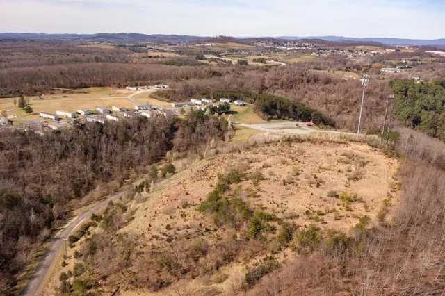 a view of a dry yard with trees in the background