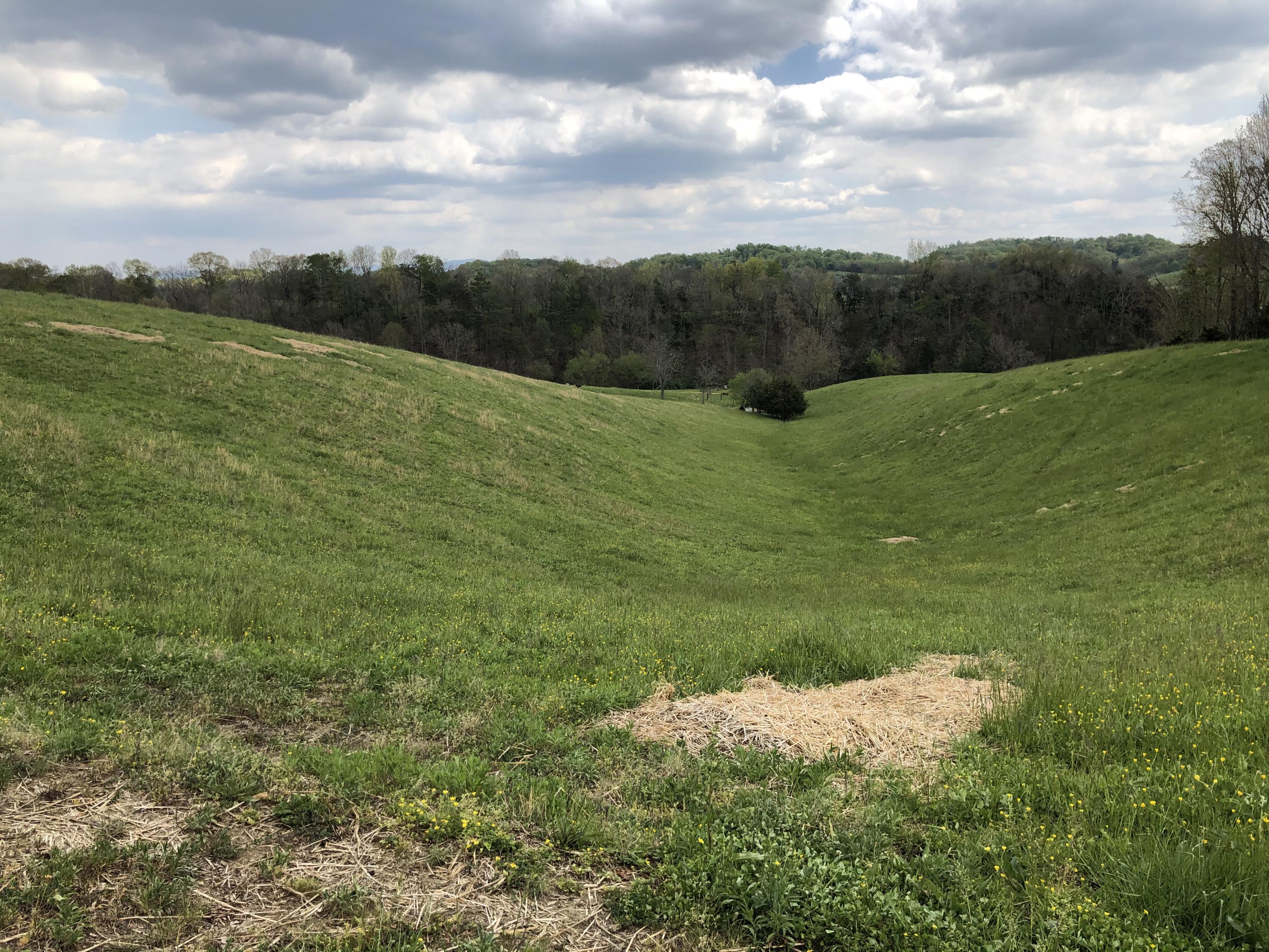 Lot Aa Valleydale Road, Unit 1 Midway, TN 37809 - Photo 11 of 23 D2BDFBB5-6196-4E1C-9236-652C6ADF0029