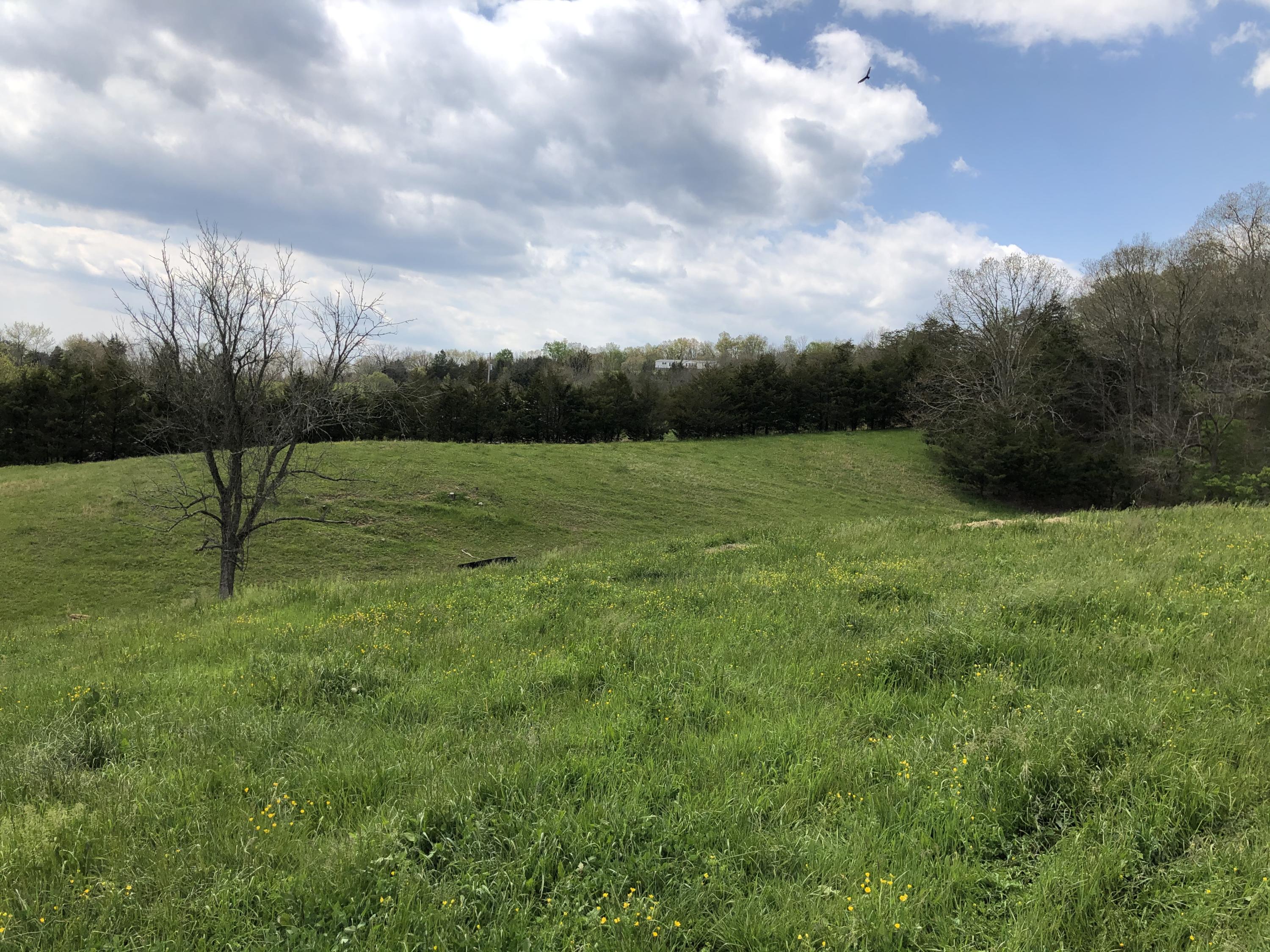 Lot Aa Valleydale Road, Unit 1 Midway, TN 37809 - Photo 4 of 23 E3416313-40CC-42D0-93A2-4504611AA7B3