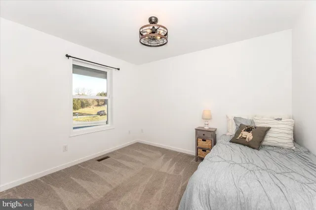 a view of a park with large trees