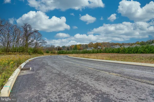 a view of a big yard with large trees