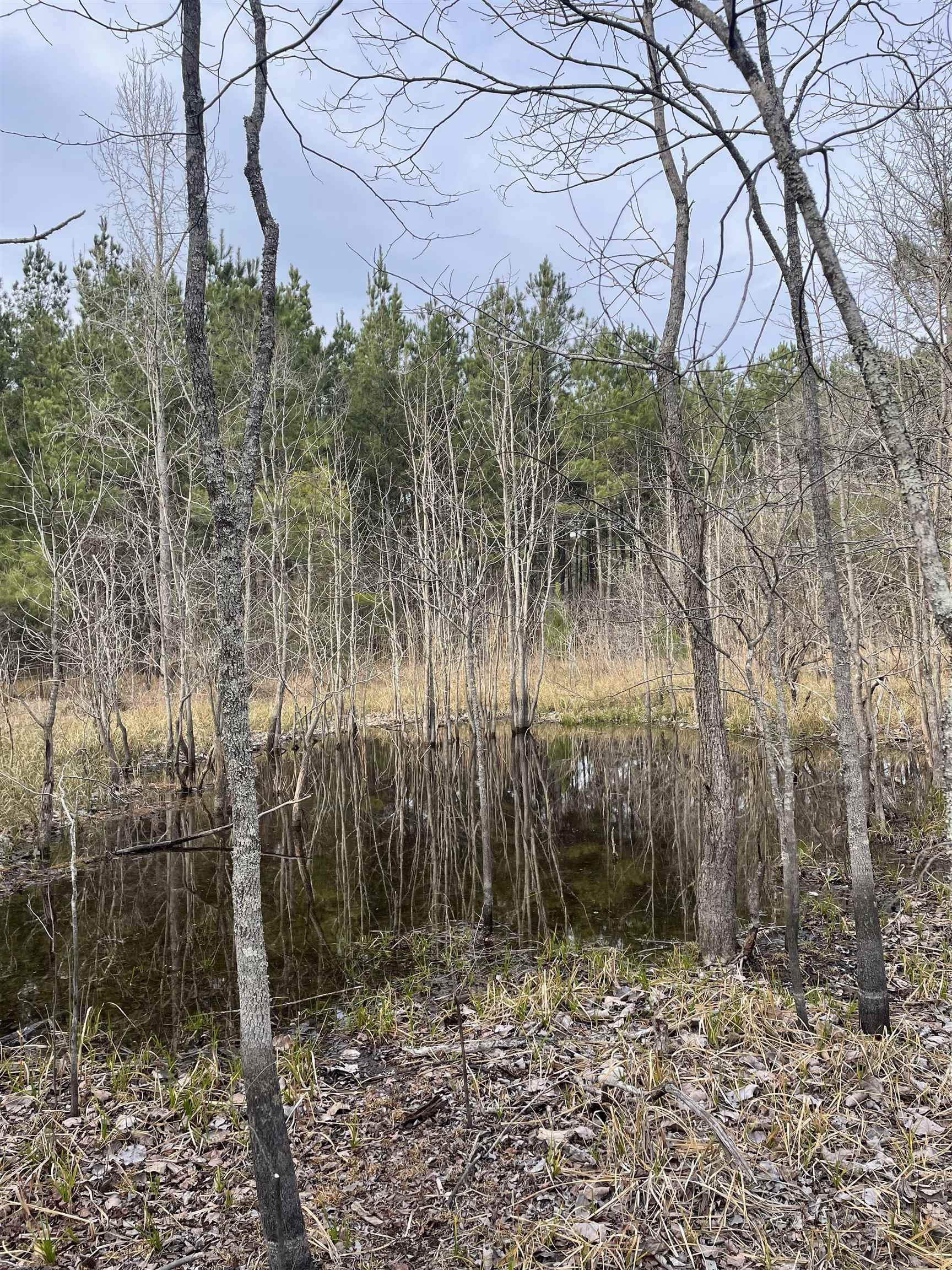 Tbd Rocky Ford Road Salters, SC 29590 - Photo 5 of 13 Gallery Image 5