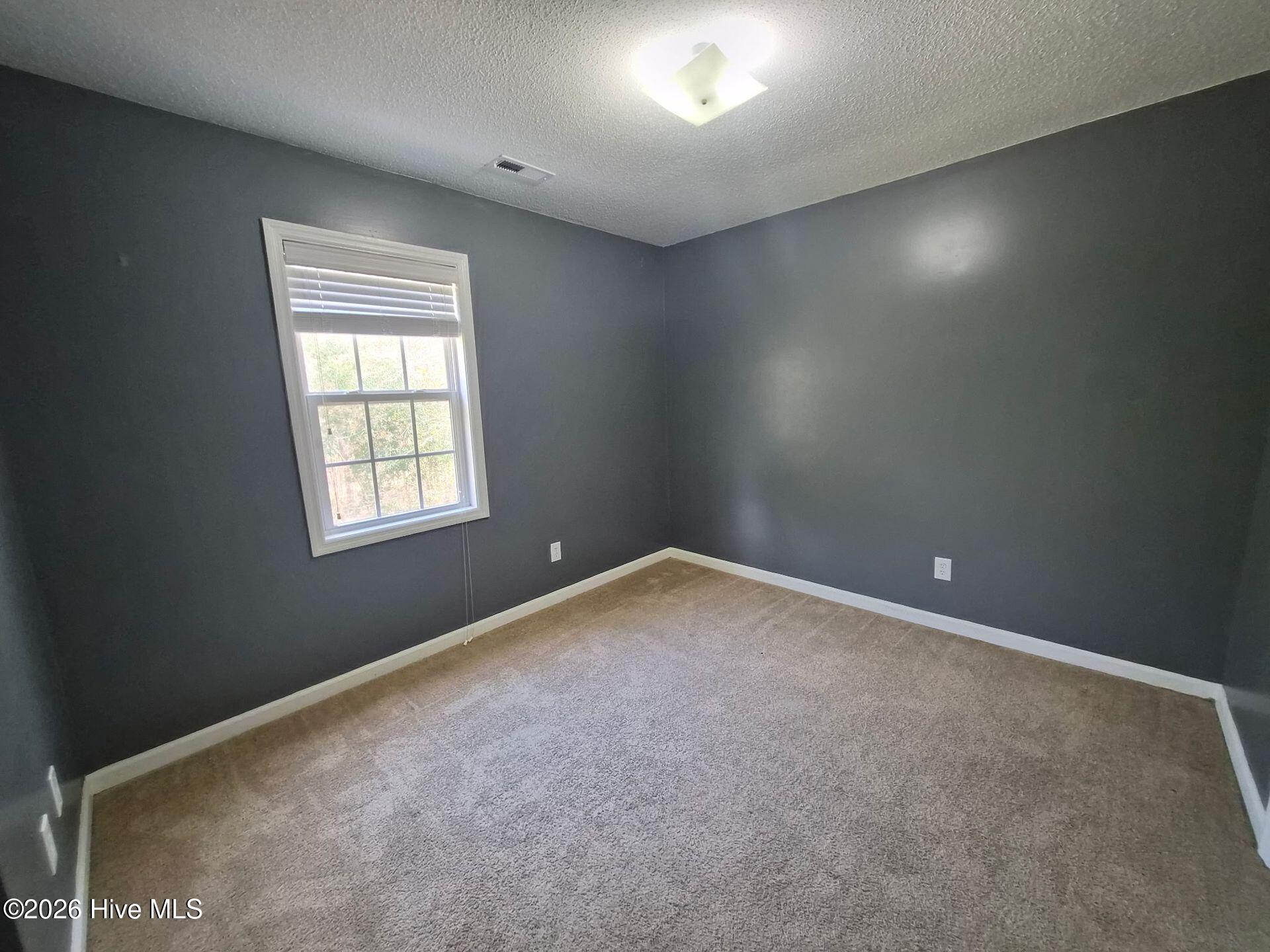 305 Rack Lane Hubert, NC 28539 - Photo 17 of 25 305 Rack Lane, Hubert, NC