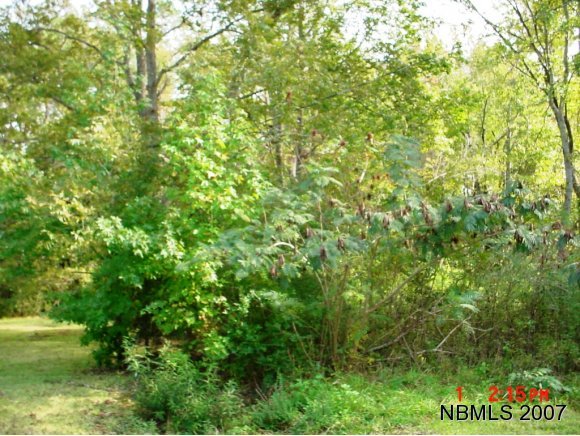 0 Silverbrook Road Merritt, NC 28556 - Photo 1 of 1 Primary Photo