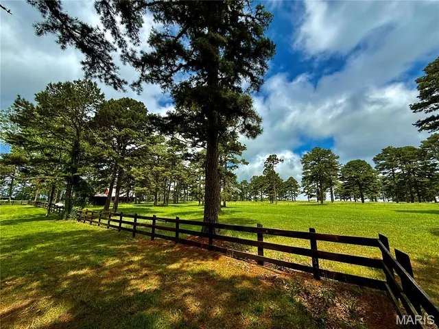 $280,000 | 19755 Wildwood Drive, Raymondville, MO 65555