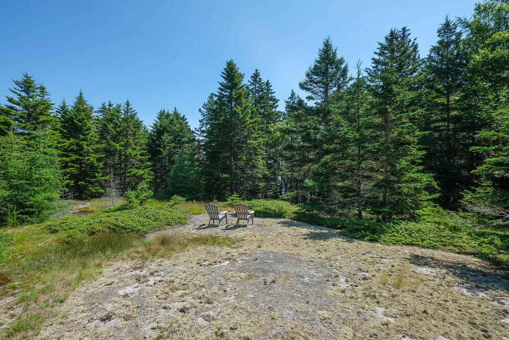68 Tea Hill Road Stonington, ME 04681 - Photo 3 of 29 68 Tea Hill Land