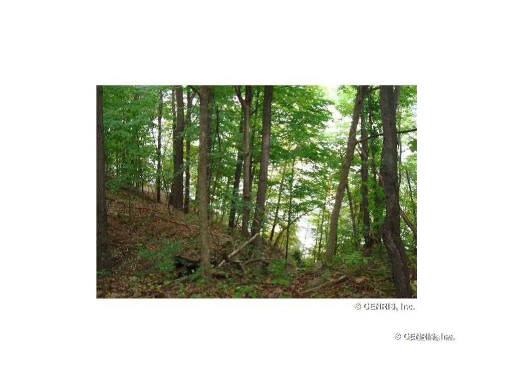 0 Grape Road Dundee, NY 14837 - Photo 1 of 1 Gallery Image 1