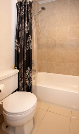 a bathroom with a toilet and a bathtub