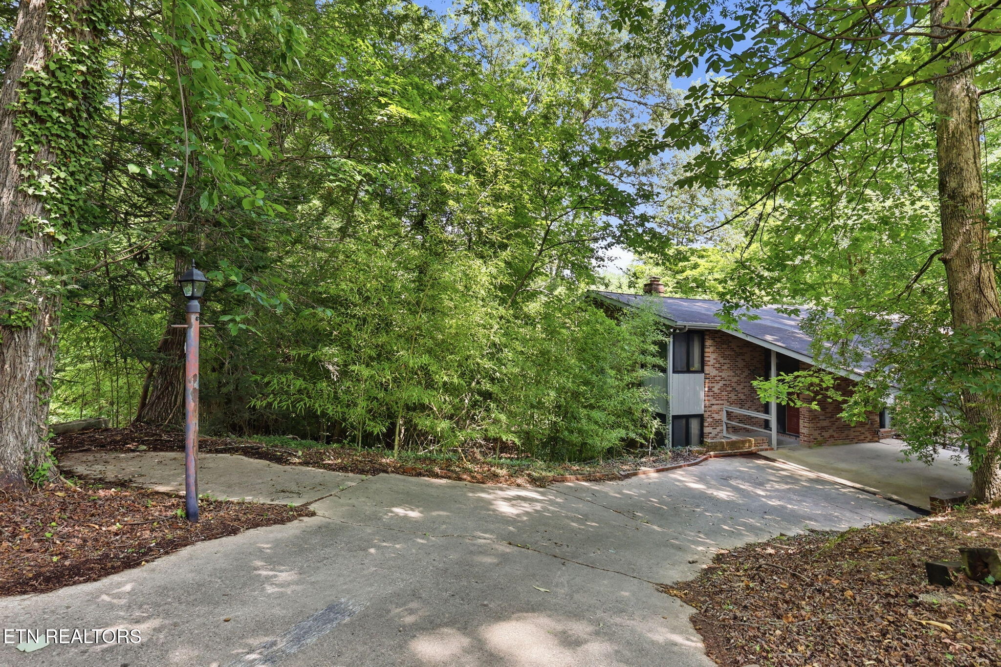 114 Balboa Circle Oak Ridge, TN 37830 - Photo 49 of 52 Beautiful Setting