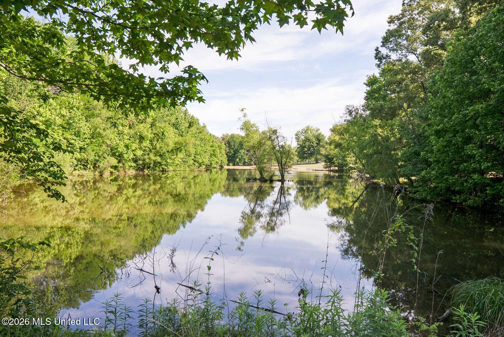 528 Arkabutla Dam Road Coldwater, MS 38618 - Photo 76 of 99 89-ARK_FINAL