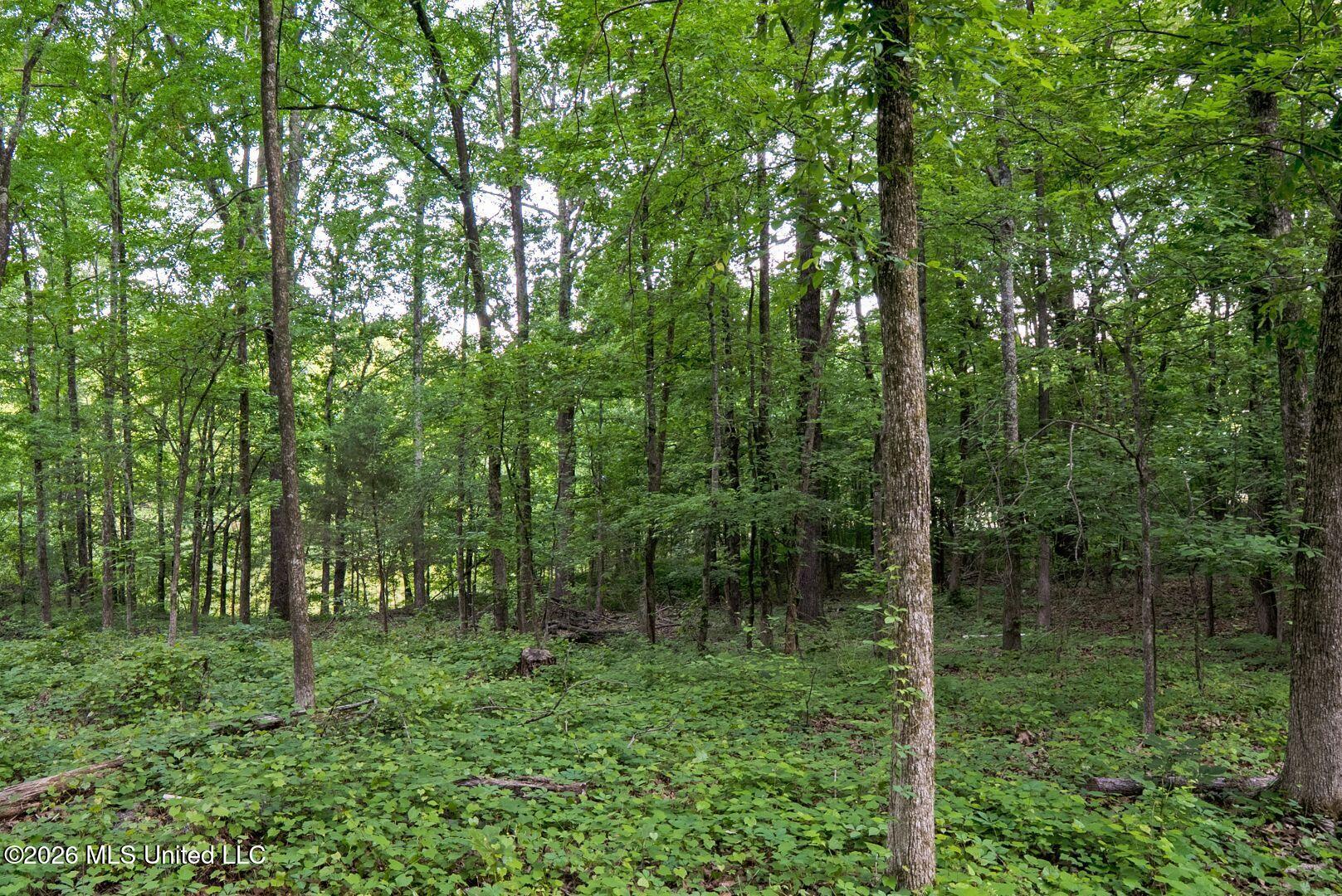 528 Arkabutla Dam Road Coldwater, MS 38618 - Photo 82 of 99 95-ARK_FINAL