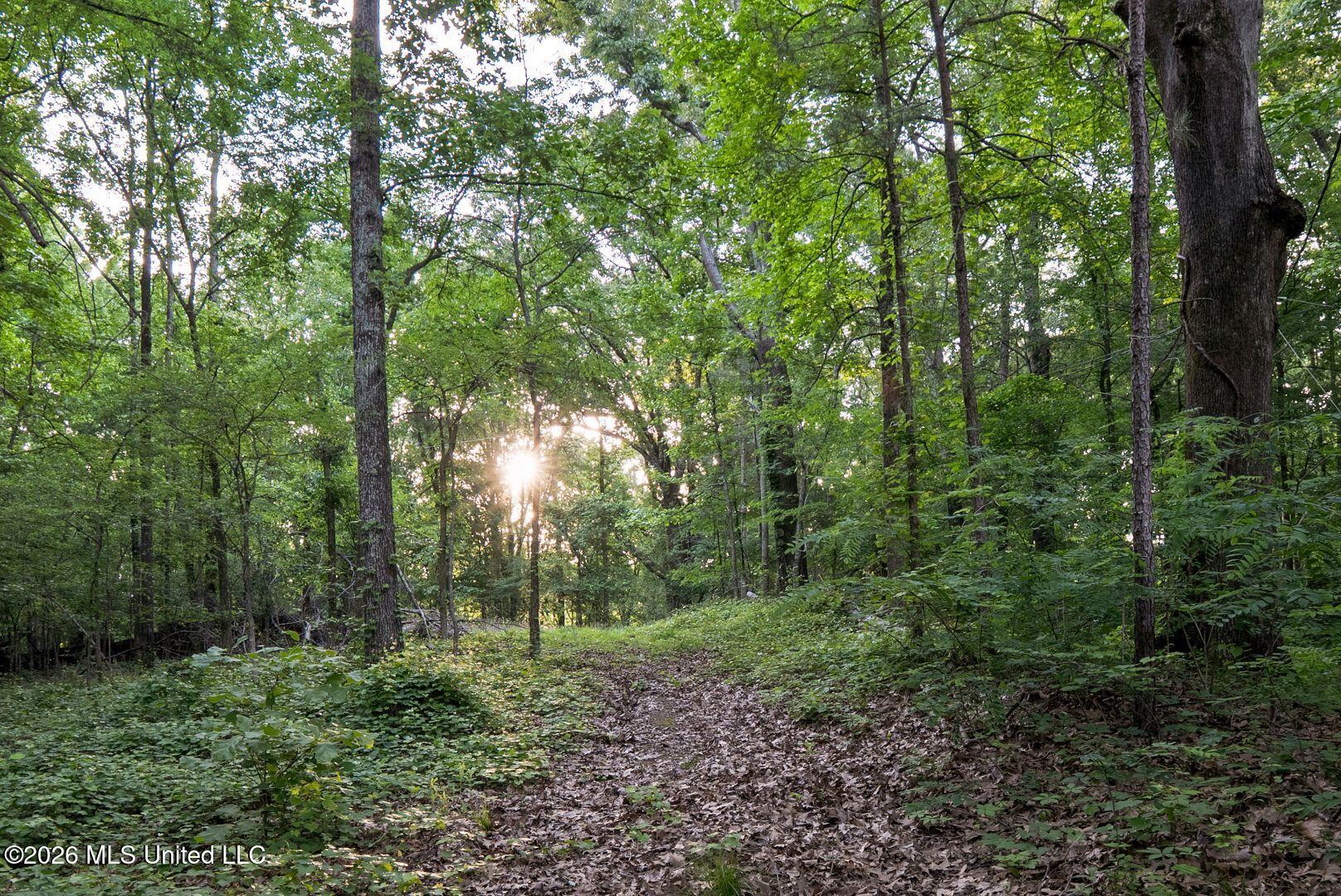 528 Arkabutla Dam Road Coldwater, MS 38618 - Photo 83 of 99 96-ARK_FINAL