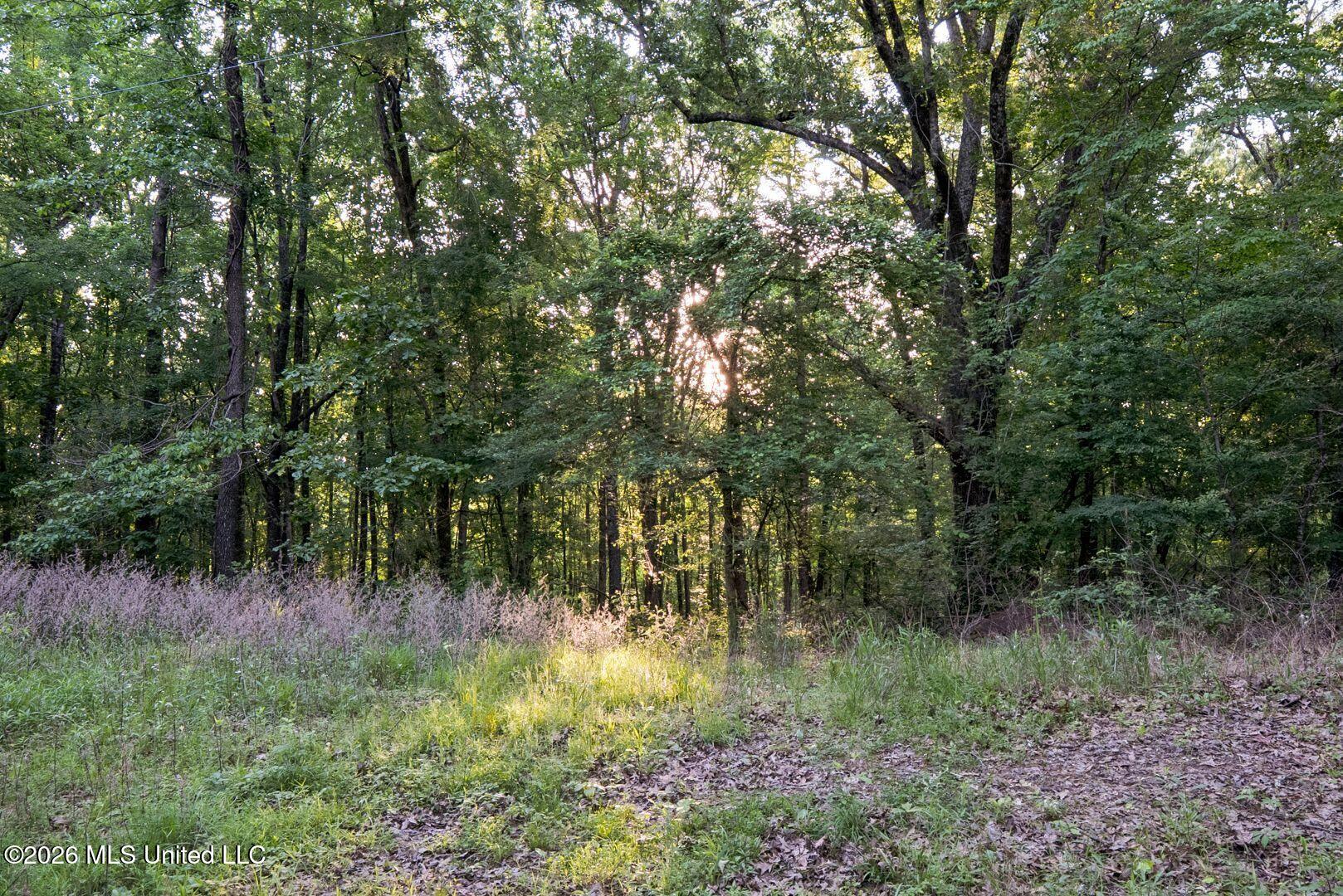 528 Arkabutla Dam Road Coldwater, MS 38618 - Photo 85 of 99 98-ARK_FINAL