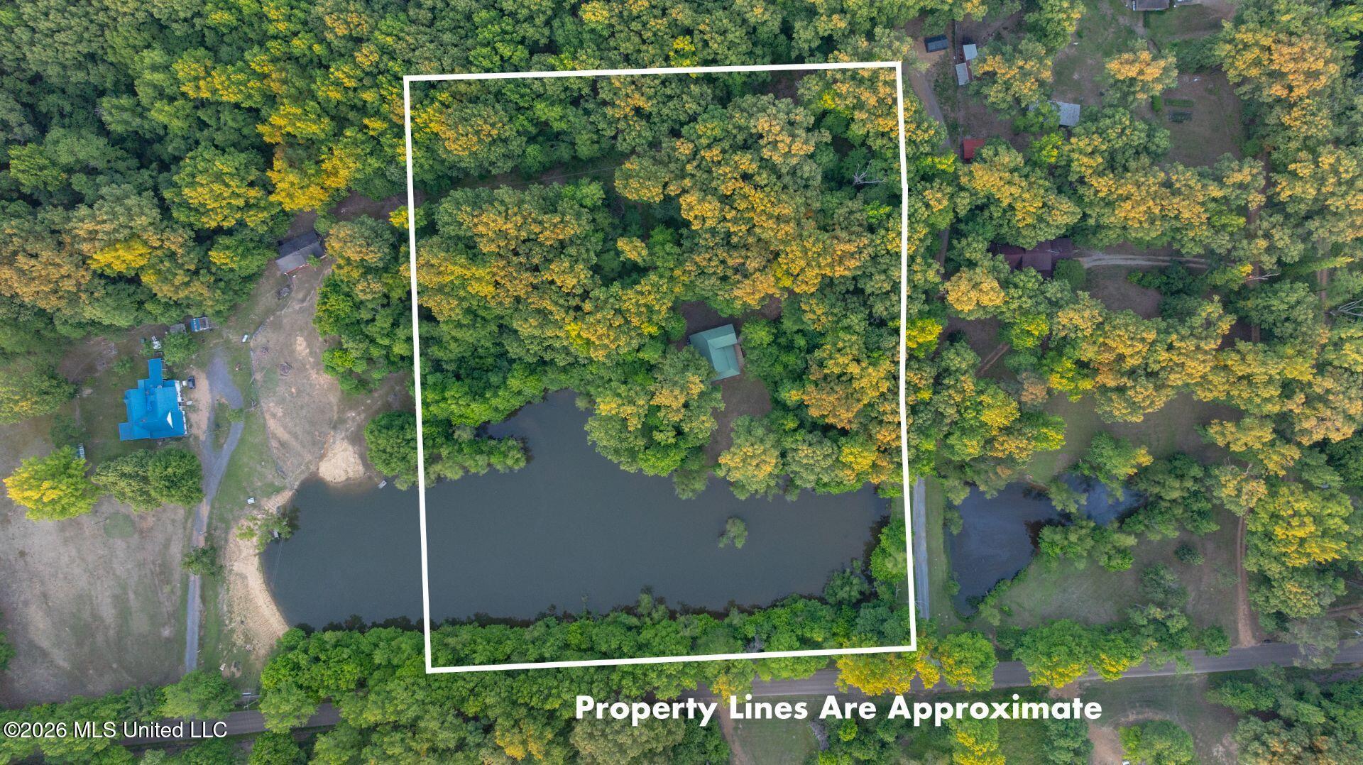 528 Arkabutla Dam Road Coldwater, MS 38618 - Photo 98 of 99 111-ARK_FINAL