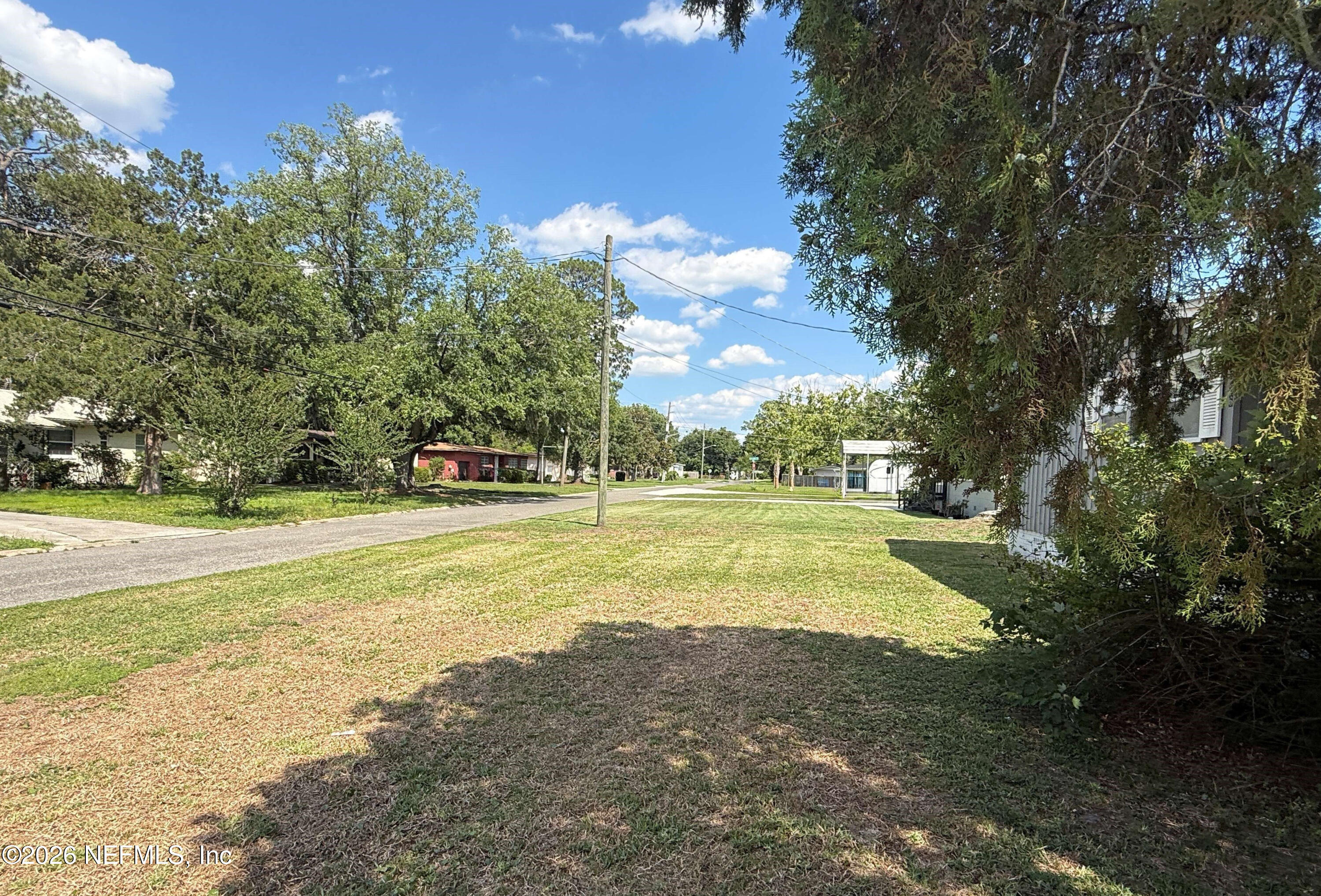 3836 Marianna Road Jacksonville, FL 32217 - Photo 5 of 19 Street front yd looking E