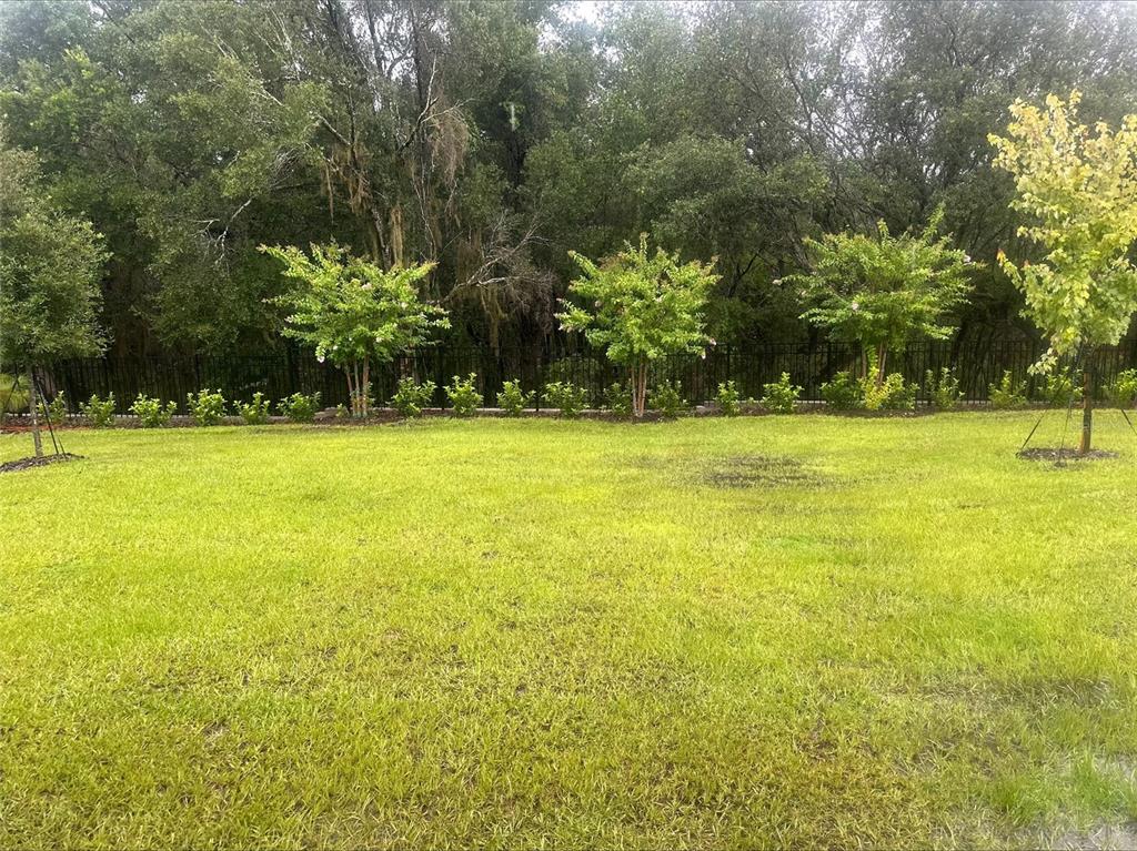 1026 Swamp Chestnut Loop Lady Lake, FL 32159 - Photo 13 of 19 a view of a large yard with plants and large trees