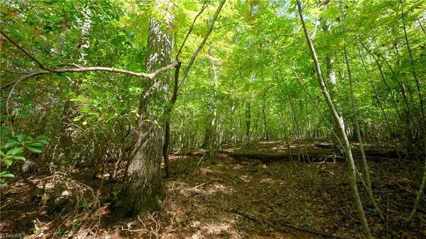 $300,571 | 0 Fisher Road, Pinnacle, NC 27043