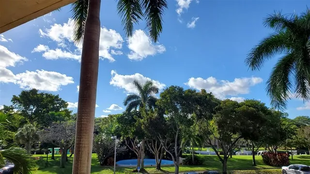 a view of a yard with palm trees
