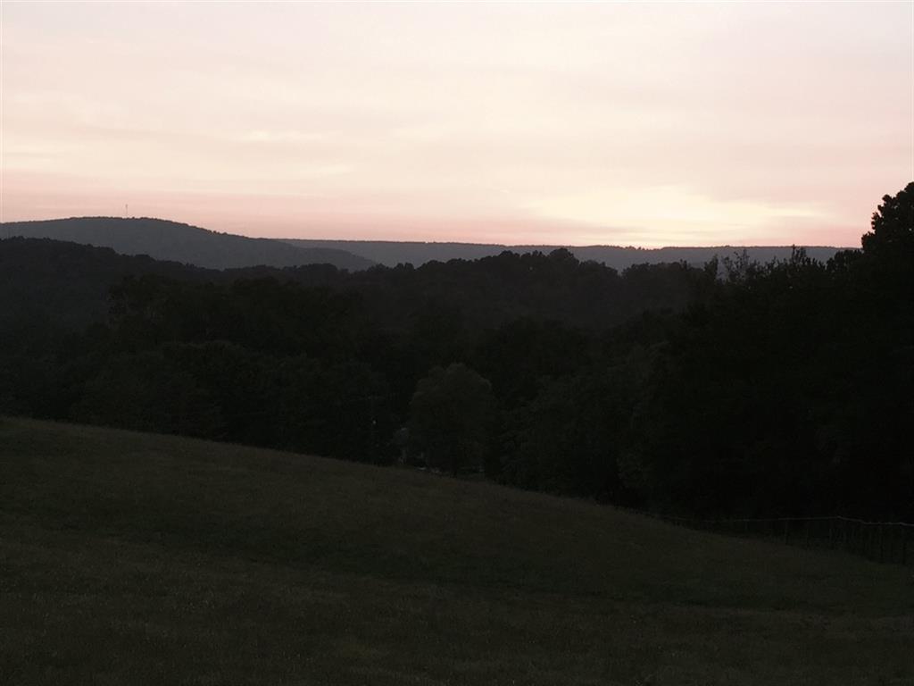 940 Bluff Road Dayton, TN 37321 - Photo 41 of 42 41