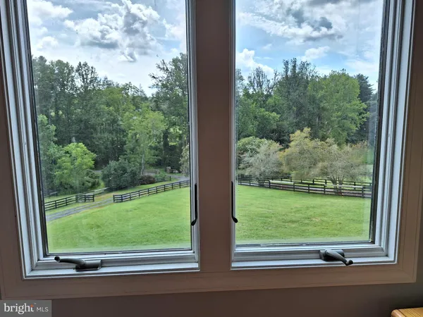 a view of a forest from a window