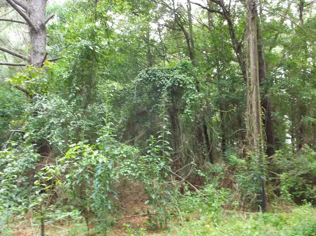 $12,900 | 534 11th Street, McComb, MS 39648