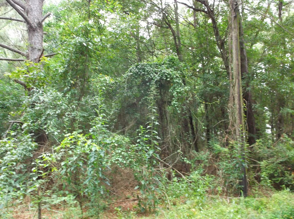 534 11th Street McComb, MS 39648 - Photo 3 of 3 Photo 4