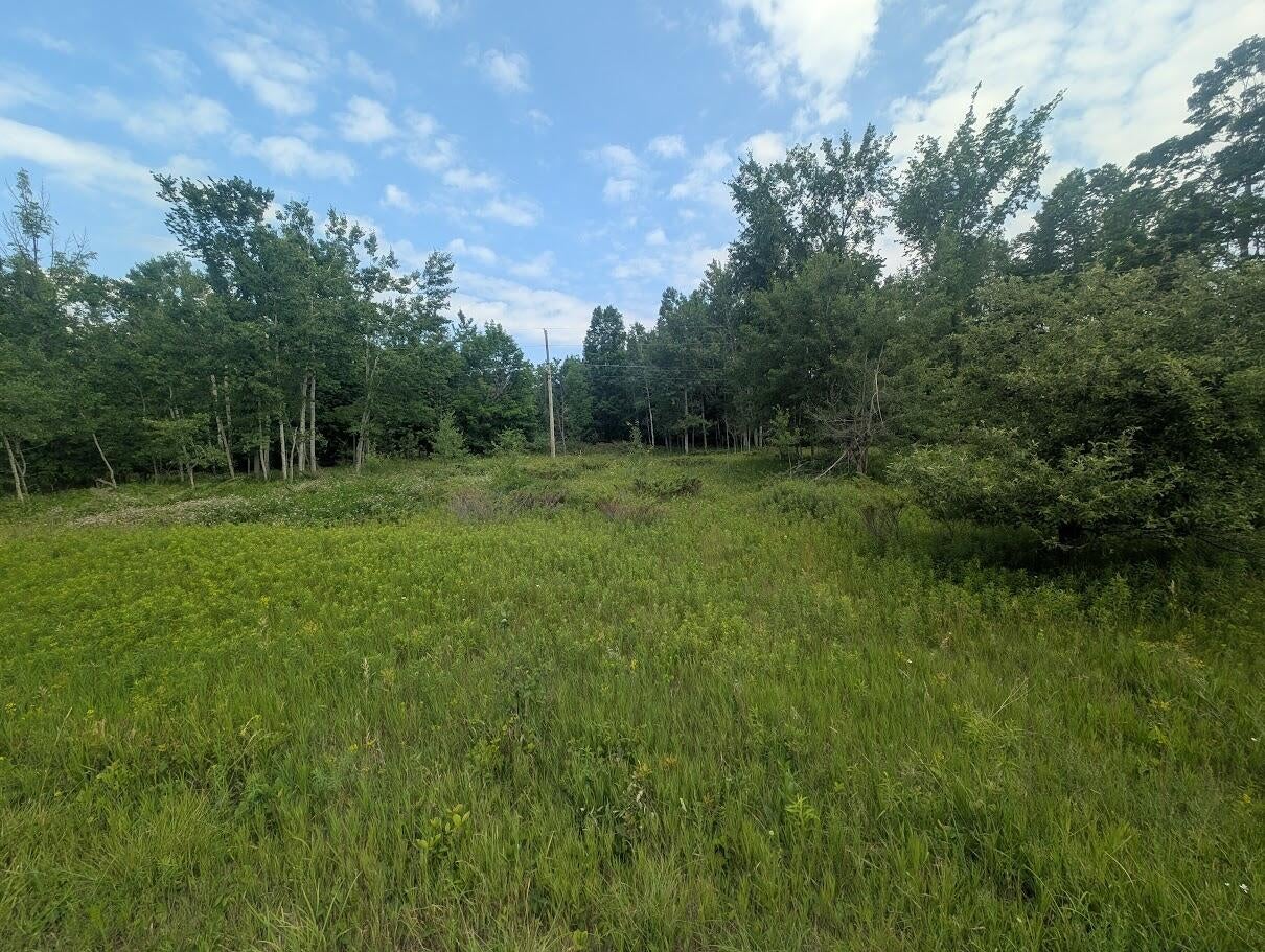 West Long Lake Road Alpena, MI 49707 - Photo 1 of 17 PXL_20250709_154643487