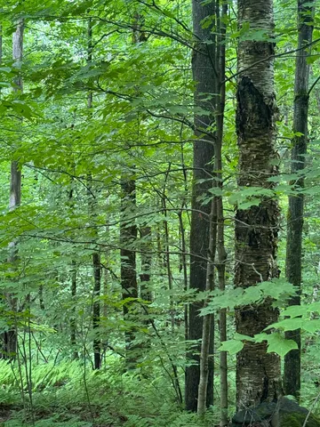 $199,000 | 680 Deming Road, Enosburg Falls, VT 05450