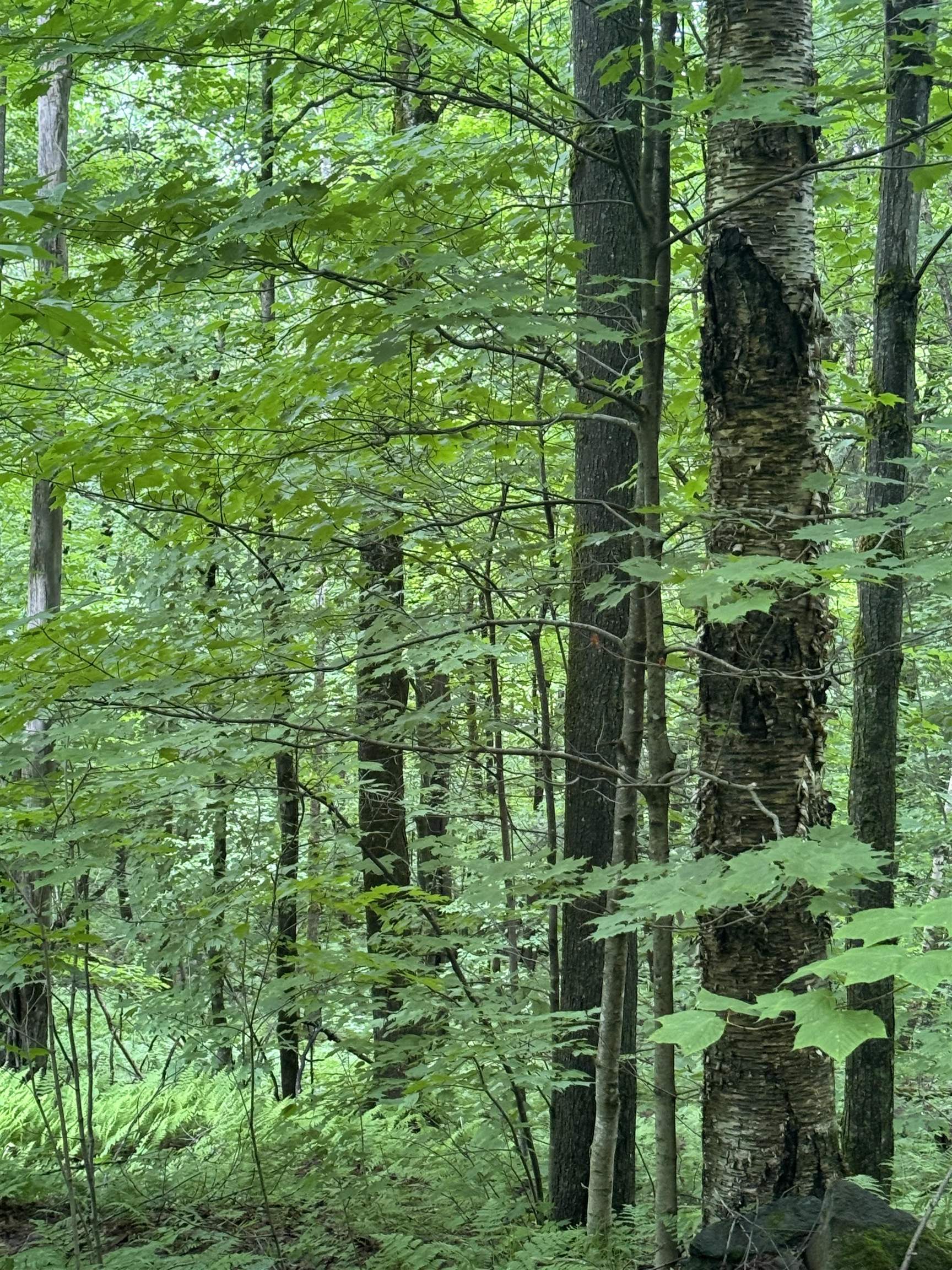 680 Deming Road Enosburg Falls, VT 05450 - Photo 4 of 8