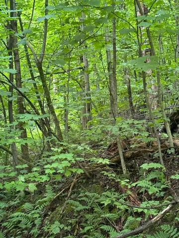 $199,000 | 680 Deming Road, Enosburg Falls, VT 05450