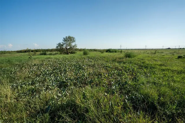 a view of a green field