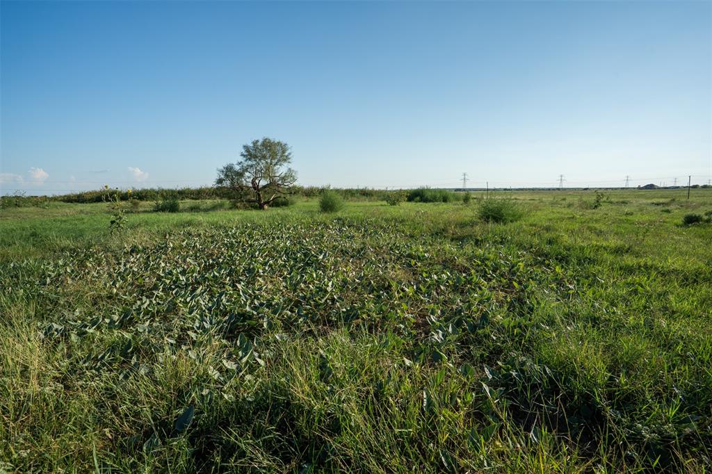 133 Parker Wichita Falls Wichita Falls, TX 76310 - Photo 16 of 19 a view of a green field