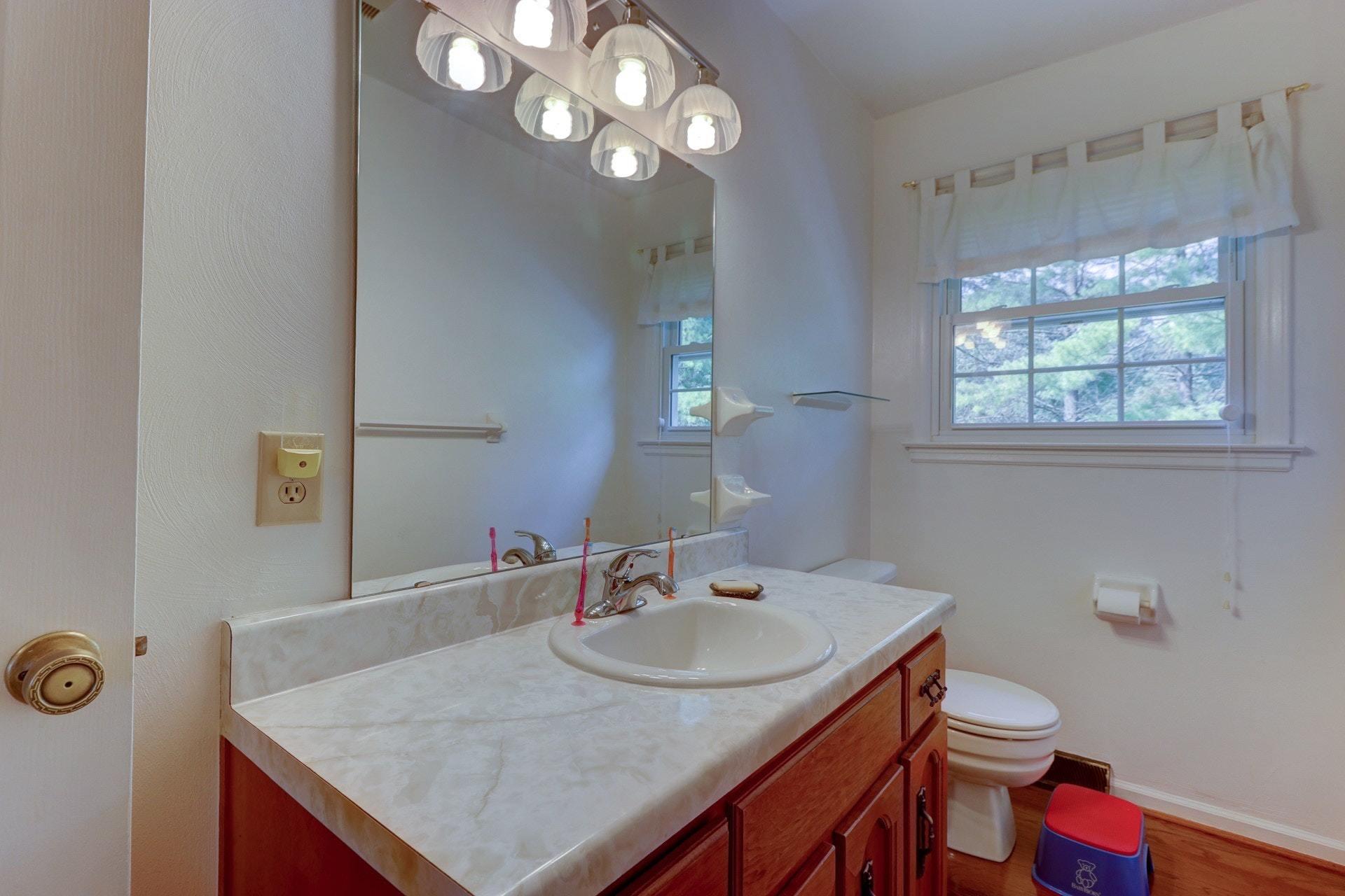 206 Ridgeview Road Blue Ridge, VA 24064 - Photo 29 of 44 a bathroom with a sink a toilet and a mirror