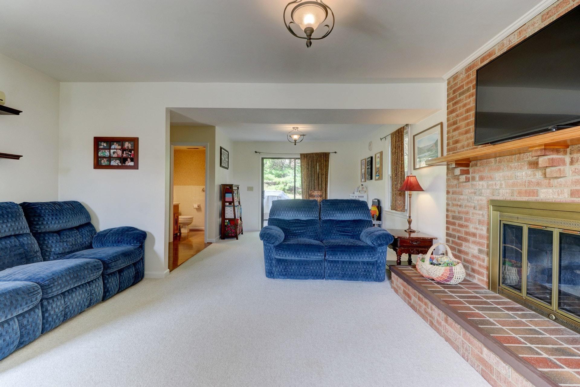 206 Ridgeview Road Blue Ridge, VA 24064 - Photo 5 of 44 a living room with furniture a flat screen tv and a fireplace