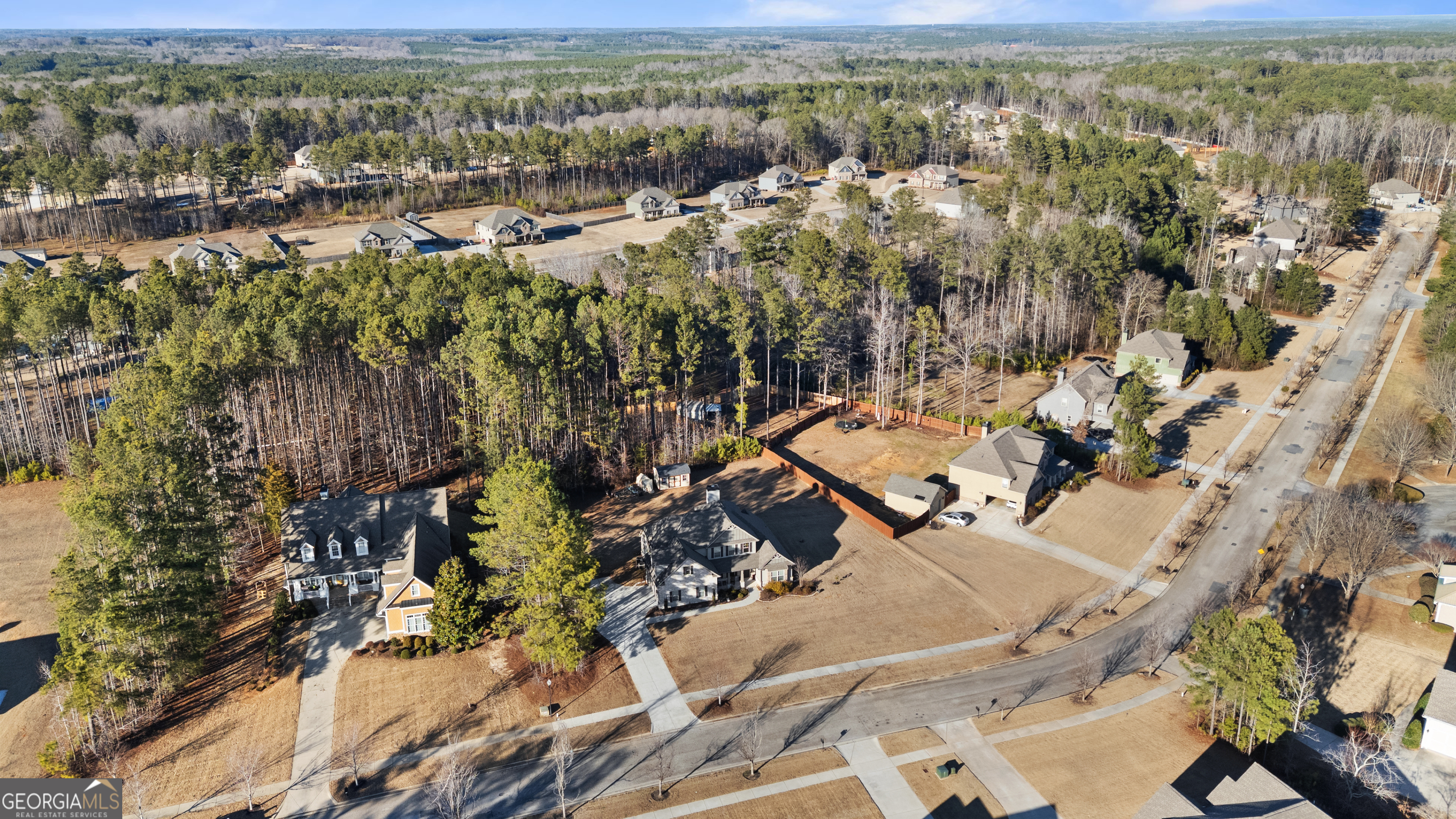 170 Homestead Circle Forsyth, GA 31029 - Photo 8 of 35