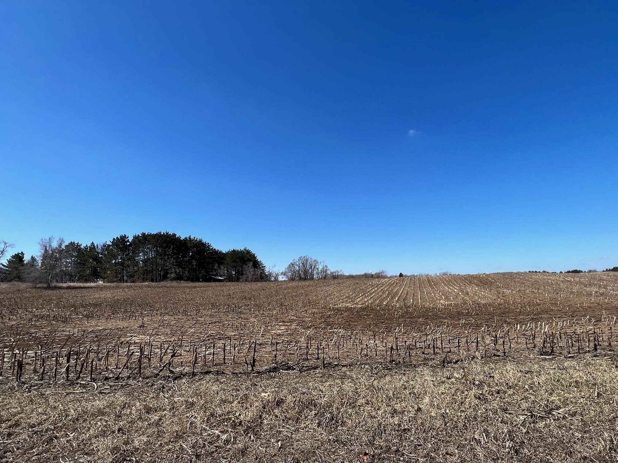 James Way, Unit 21 Pound, WI 54161 - Photo 5 of 6