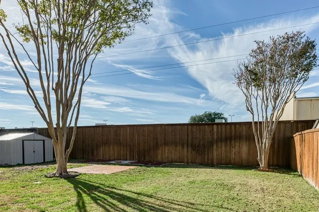 a view of backyard with tree