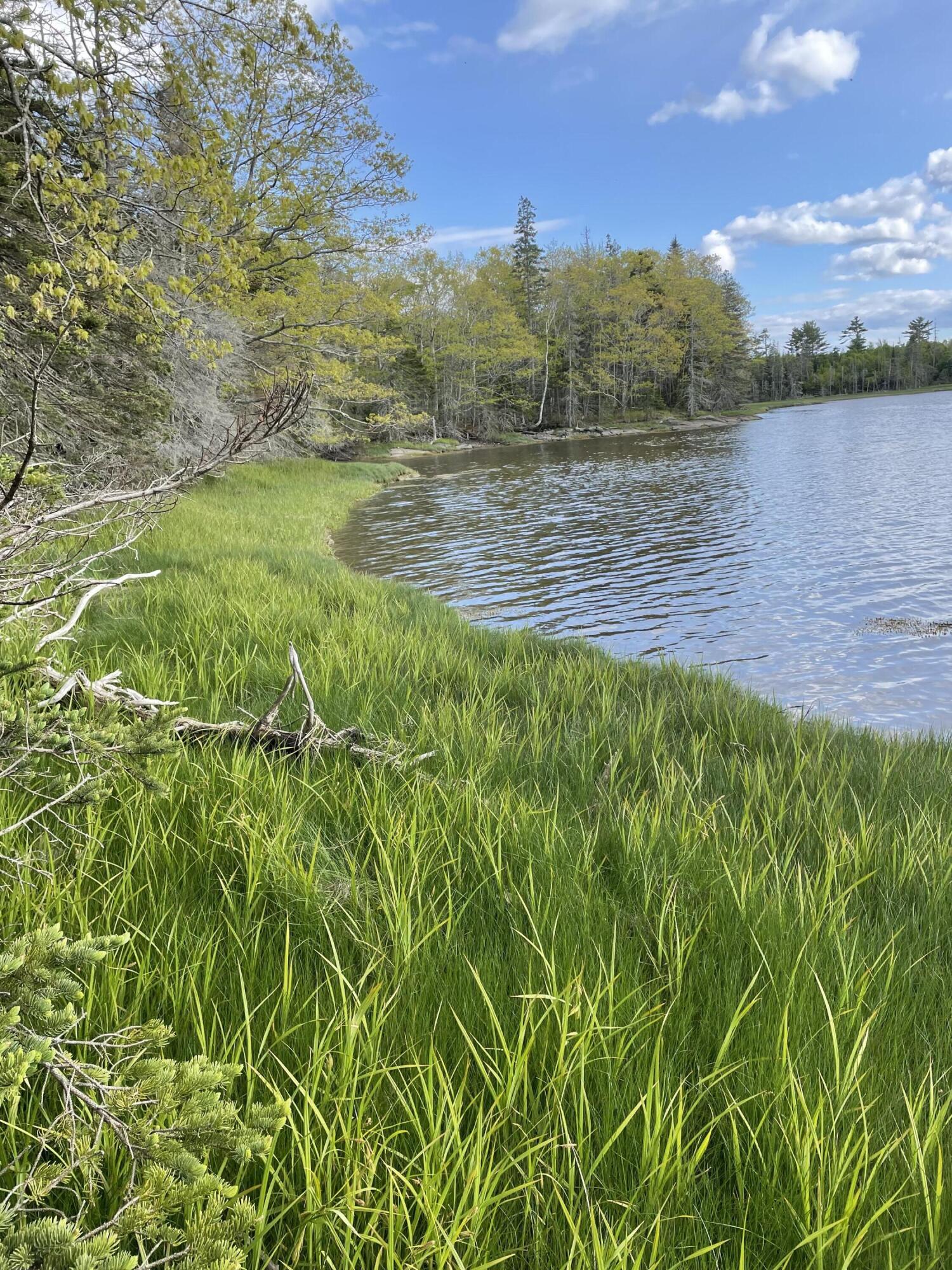 0 Bristol Road Pemaquid, ME 04558 - Photo 2 of 36 IMG_2804