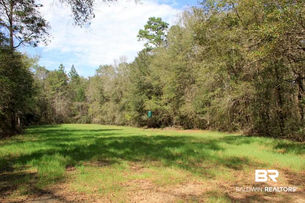 0 County Road 49 Loxley, AL 36551 - Photo 28 of 33