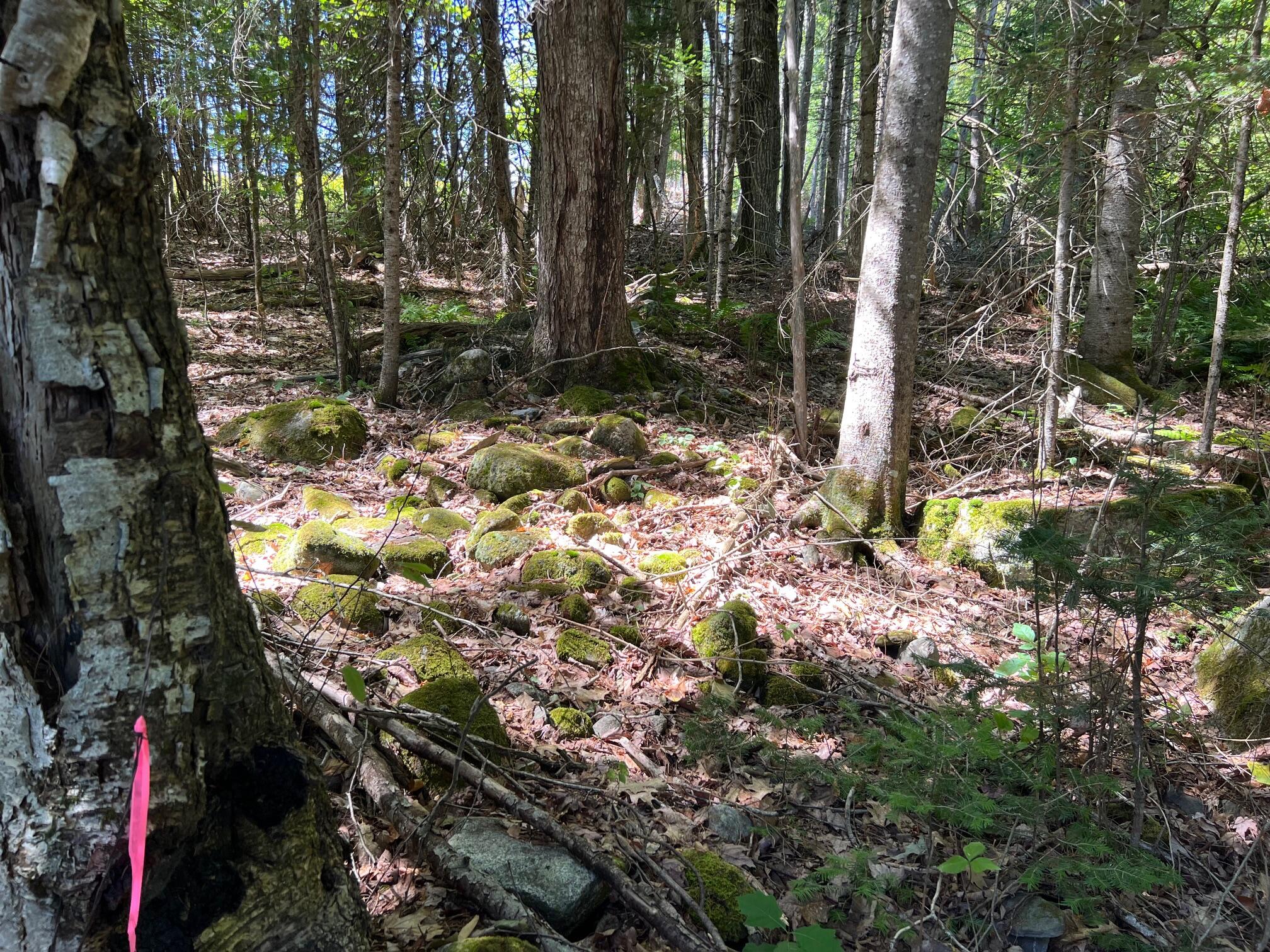 3 Map Road Pittsfield, ME 04967 - Photo 6 of 11 6