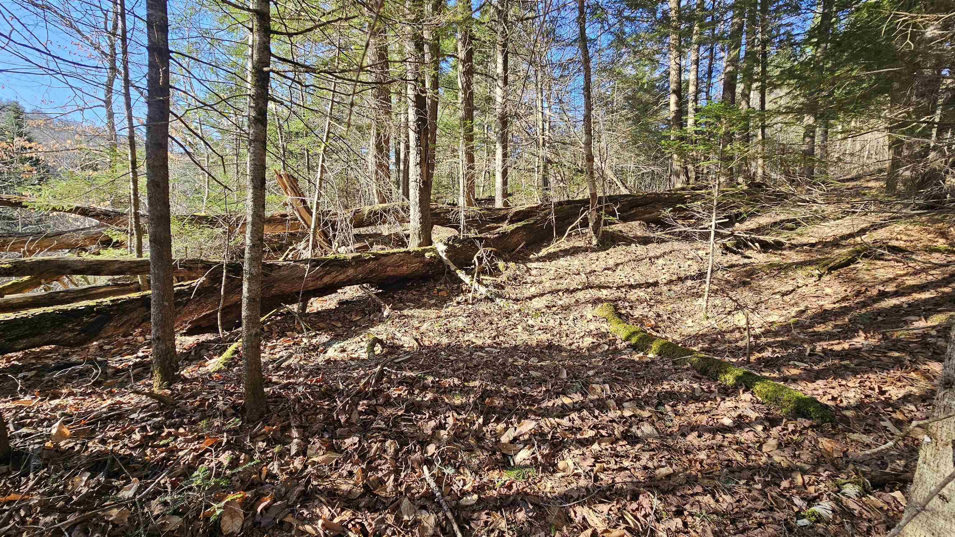 512 Woodbury Mountain Road Calais, VT 05648 - Photo 33 of 59