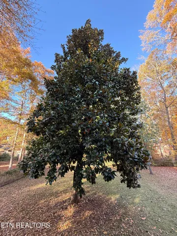 $469,000 | 320 Birchwood Lane, Sevierville, TN 37862